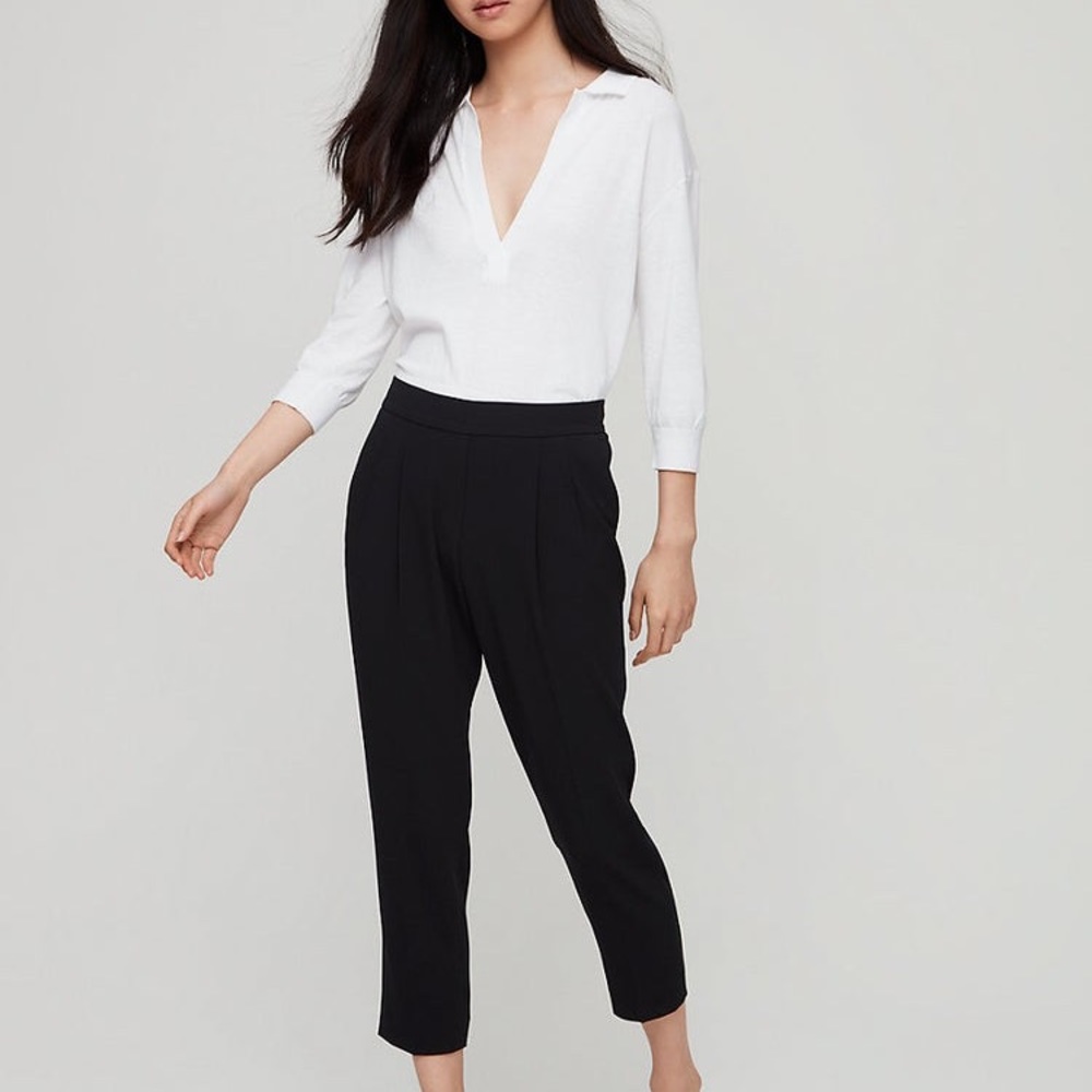 Aritzia Babaton Cohen Pant